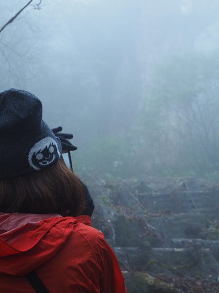 10年間通い続けた屋久島の出発点・縄文杉へ