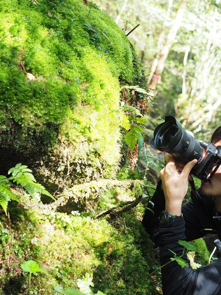 通訳案内士仲間２人で歩いた白谷雲水峡・太鼓岩