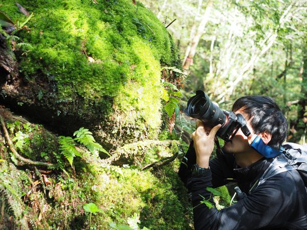 通訳案内士仲間２人で歩いた白谷雲水峡・太鼓岩