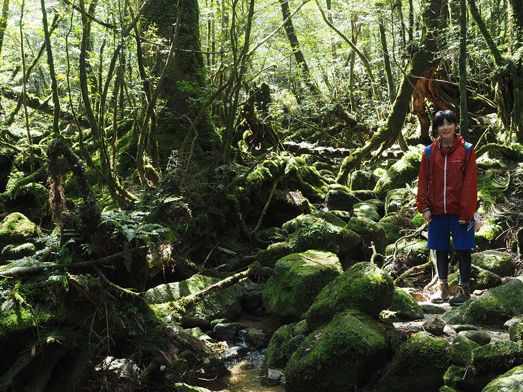 15才のひとり旅、白谷雲水峡・太鼓岩を満喫するために全力サポート！