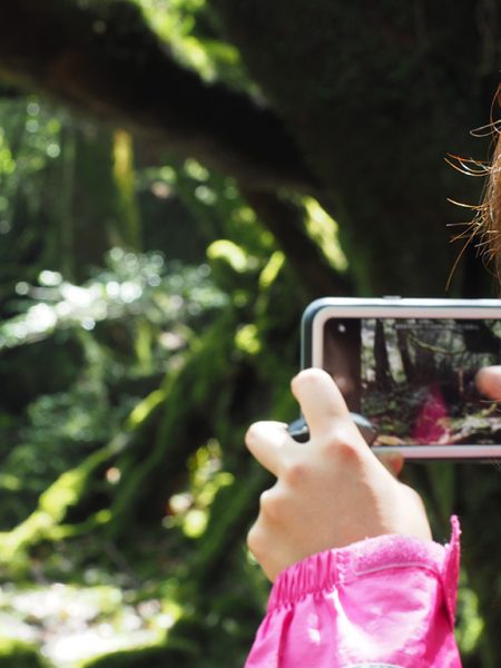 屋久島に呼ばれ、そして全身で白谷雲水峡と太鼓岩を感じた１日