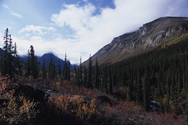 アラスカ【Arrigetch Peaks】ゲーツ・オブ・アークティック国立公園9日間のキャンプ旅（Day5）