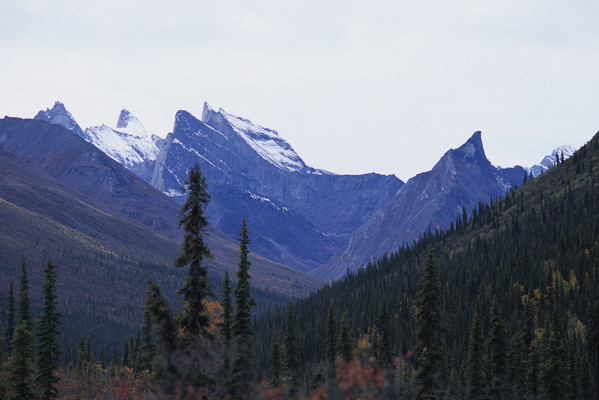 アラスカ【Arrigetch Peaks】ゲーツ・オブ・アークティック国立公園9日間のキャンプ旅（Day7-8）