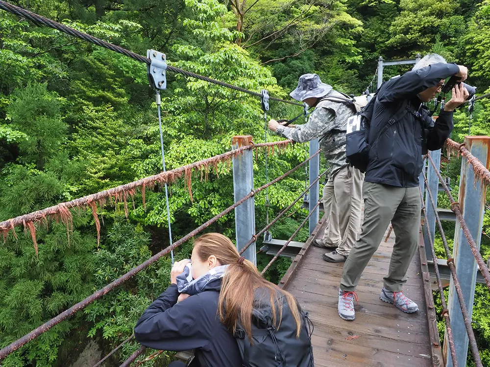 吊り橋から白谷川本流の写真を撮る３人