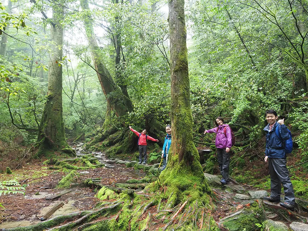 奥へと続く苔に覆われた登山道と4人の写真