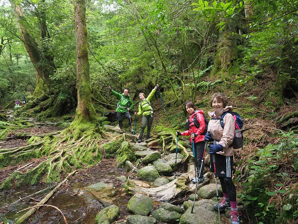 ランチ後の下りは元気いっぱいで、カメラに向かって大きく手を広げてポーズを取る参加者達