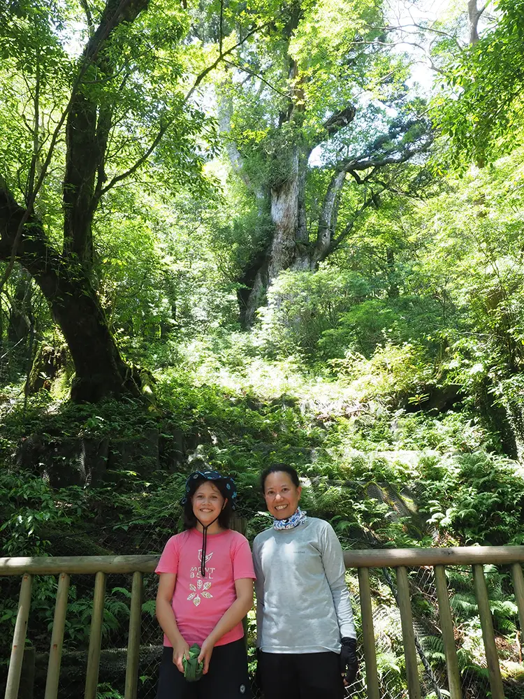 念願の縄文杉との対面