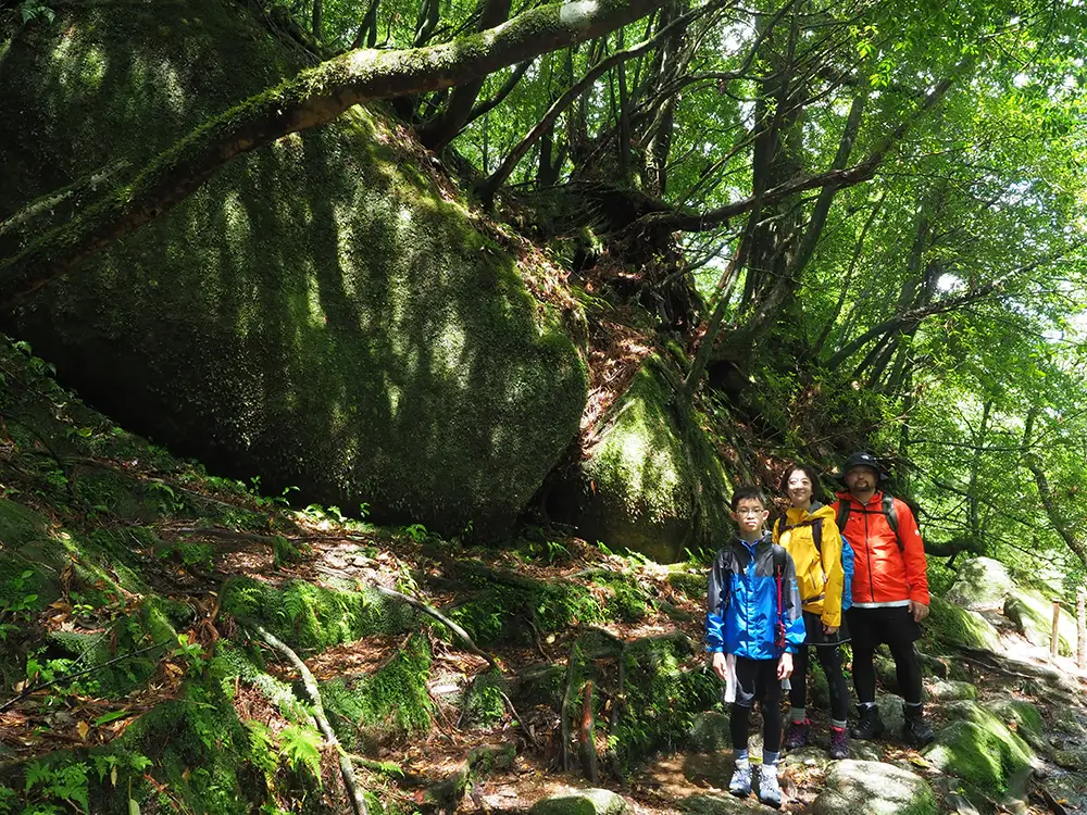 苔むした巨大な花崗岩の前で