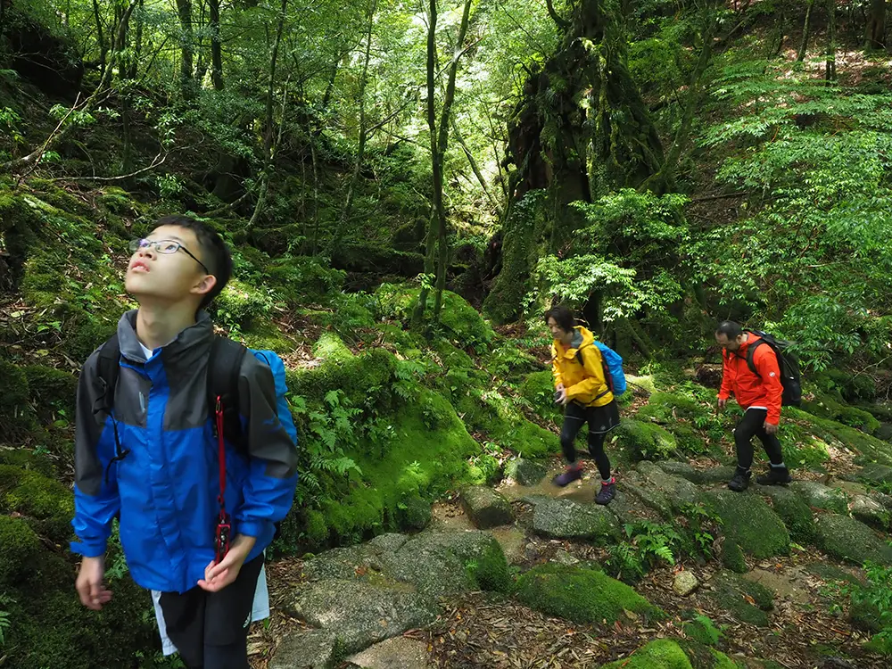 登山道を歩く親子３人