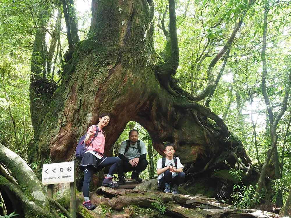 くぐり杉の下でポーズを撮る３人