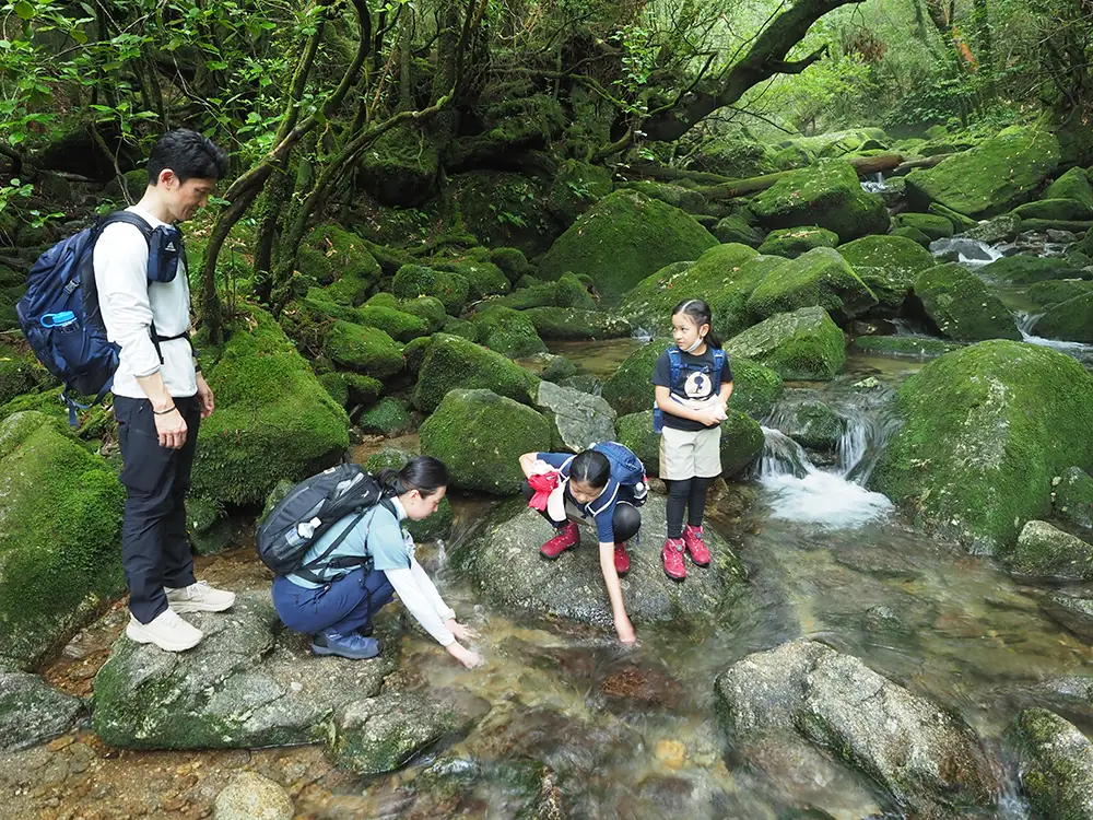 登って暑くなった体を川の水を触ってクールダウン