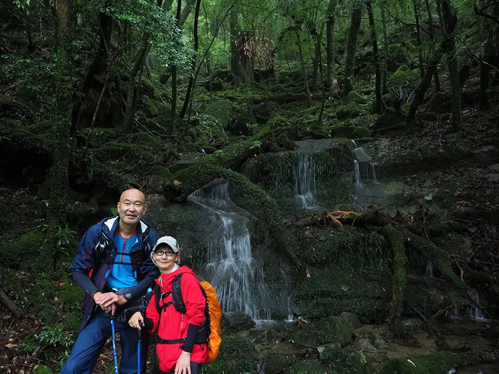 縄文杉登山道で最も苔の美しい場所のひとつ