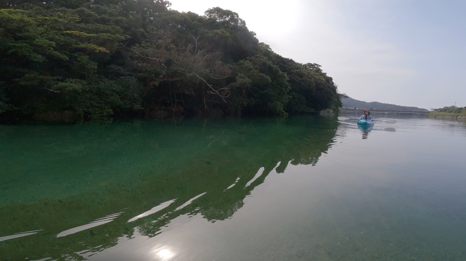 屋久島に3年ぶりに帰ってきました…初日は栗生川でのカヤック