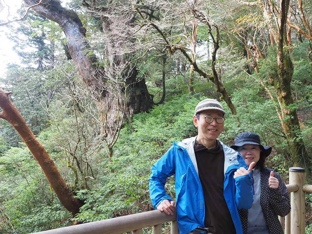 急に決まった屋久島旅行だけど、縄文杉に行ってみたい！