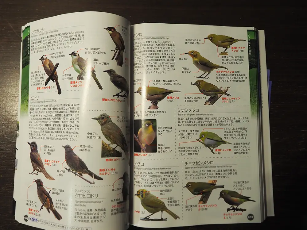 ♪鳥くんの比べて識別！野鳥図鑑670　第４版