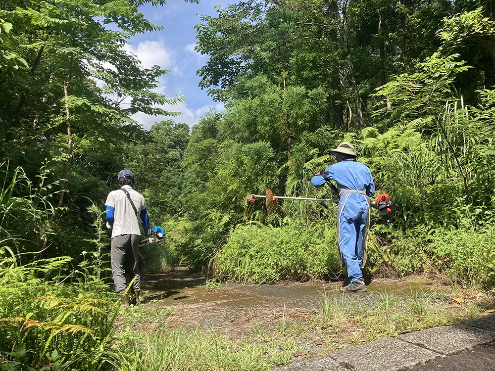 荒れた道に笑顔を取り戻す|屋久島の沢道で草払い大作戦
