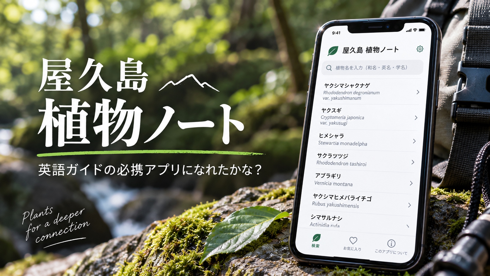 屋久島の森を背景に、スマートフォンに屋久島植物ノートの検索画面が表示されている